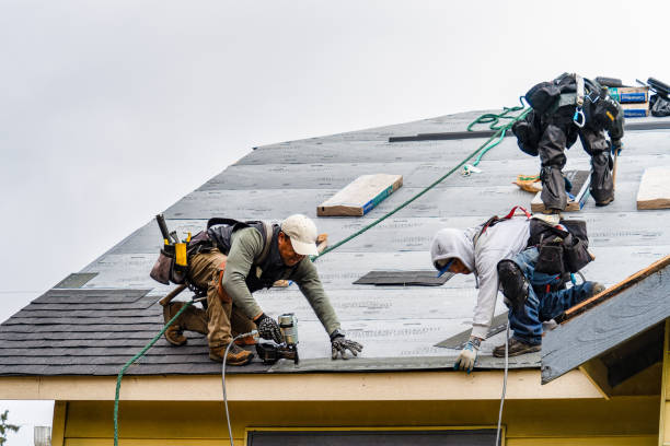 Professional Roof Inspection technician working in Coleman, MI